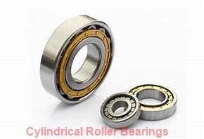 190 mm x 290 mm x 46 mm  SKF NU 1038 ML  Cylindrical Roller Bearings