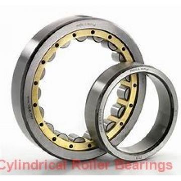 55 mm x 120 mm x 43 mm  SKF NJ 2311 ECML  Cylindrical Roller Bearings