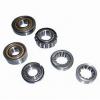 2.559 Inch | 65 Millimeter x 4.724 Inch | 120 Millimeter x 0.906 Inch | 23 Millimeter  SKF NU 213 ECP/CNM  Cylindrical Roller Bearings #1 small image