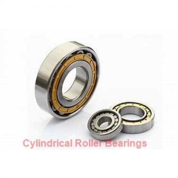 95 mm x 200 mm x 67 mm  SKF NUP 2319 ECJ  Cylindrical Roller Bearings #1 image