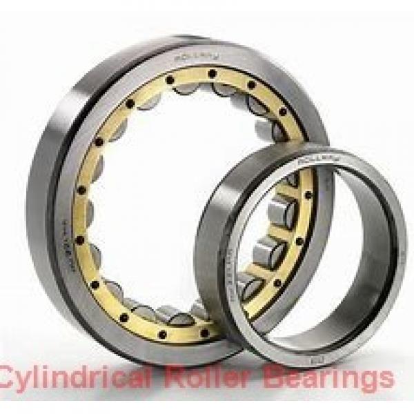 55 mm x 120 mm x 43 mm  SKF NJ 2311 ECML  Cylindrical Roller Bearings #1 image